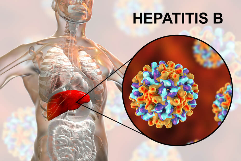 kronični hepatitis b jetra