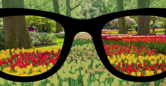 korektivne naočale za daltonizam