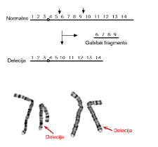 delecija gubitak dijela kromosoma