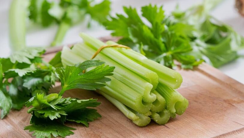 Celer recepti